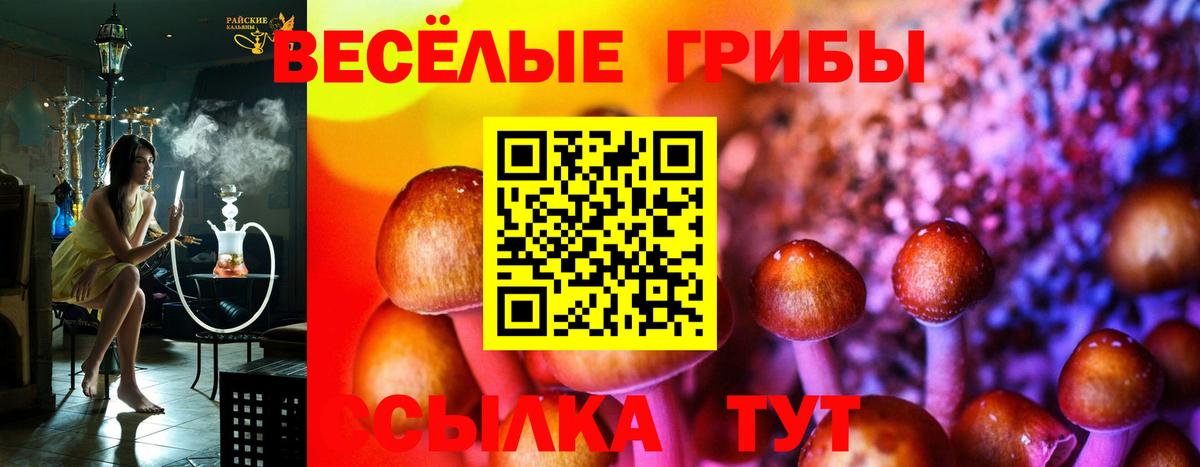Кемерово  Галлюциногенные грибы Magic Shrooms  где купить наркотик  Вход с VPN 
